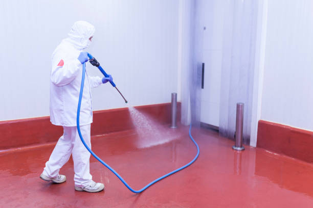 Best Soft Washing for Delicate Surfaces in Lake Forest, IL